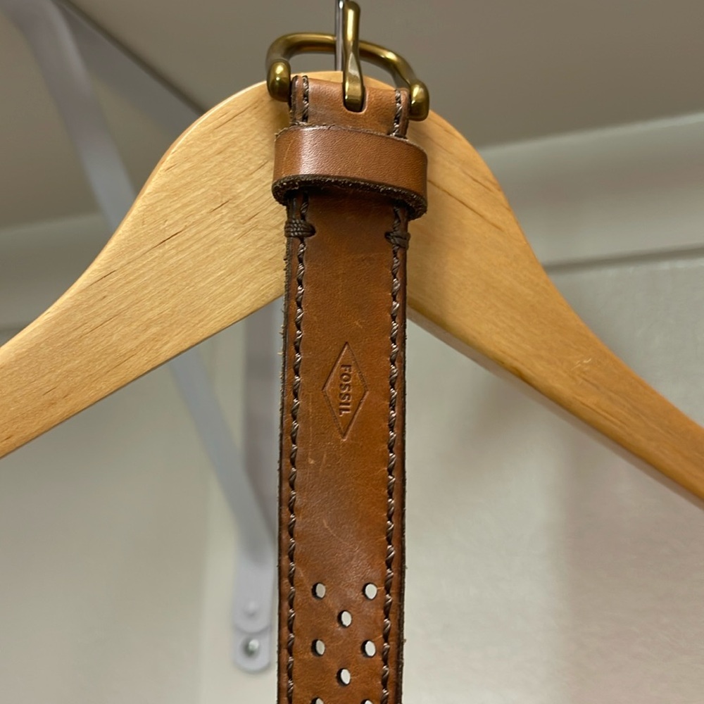 Fossil belt